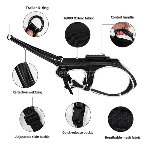 SafeStride – No-Pull Reflective Dog Harness